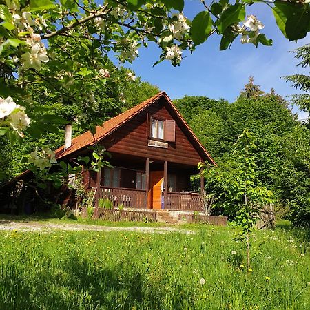 Cabana Lacrimioara Villa Sîmbăta de Sus Exterior foto