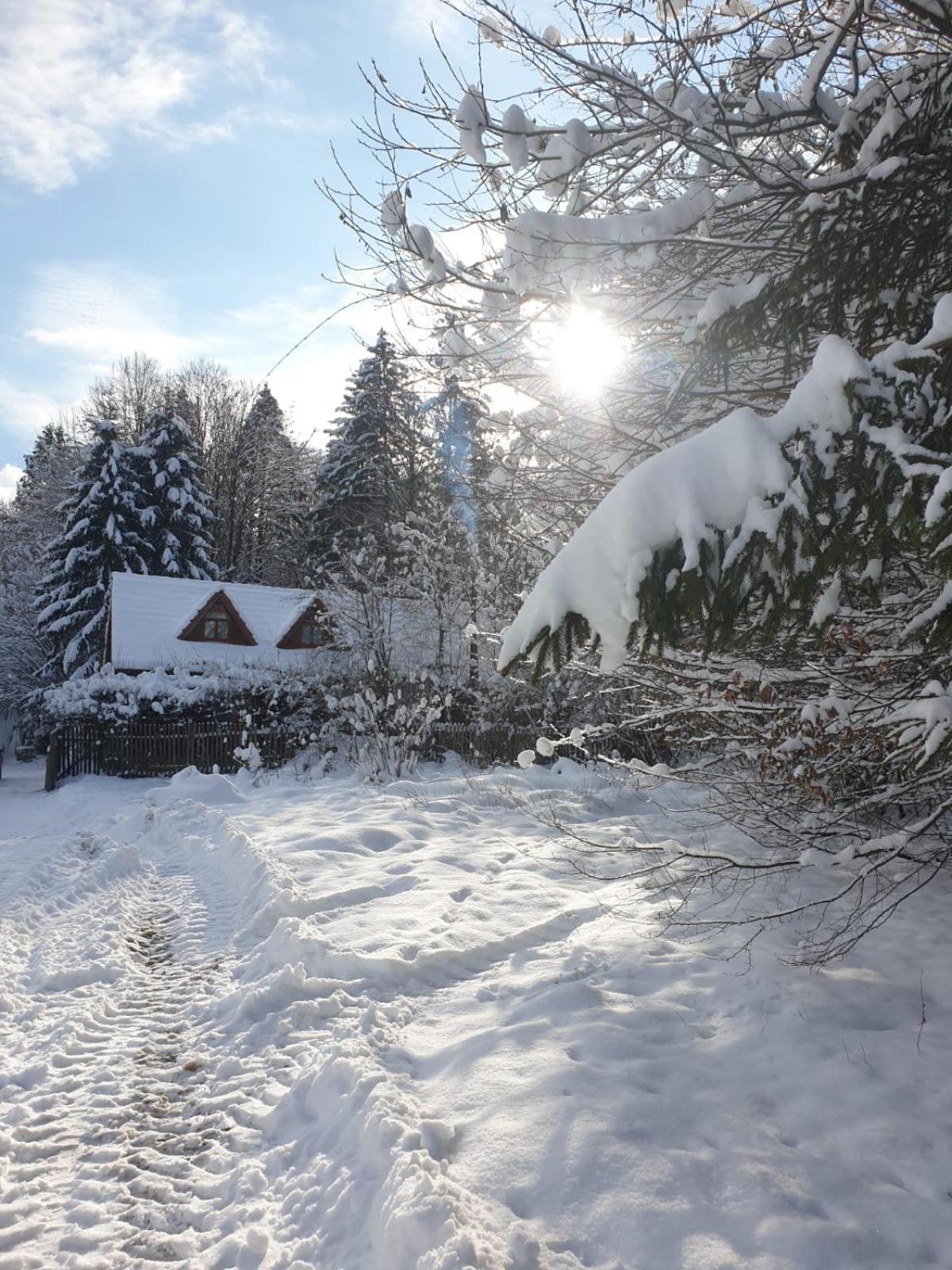 Cabana Lacrimioara Villa Sîmbăta de Sus Exterior foto