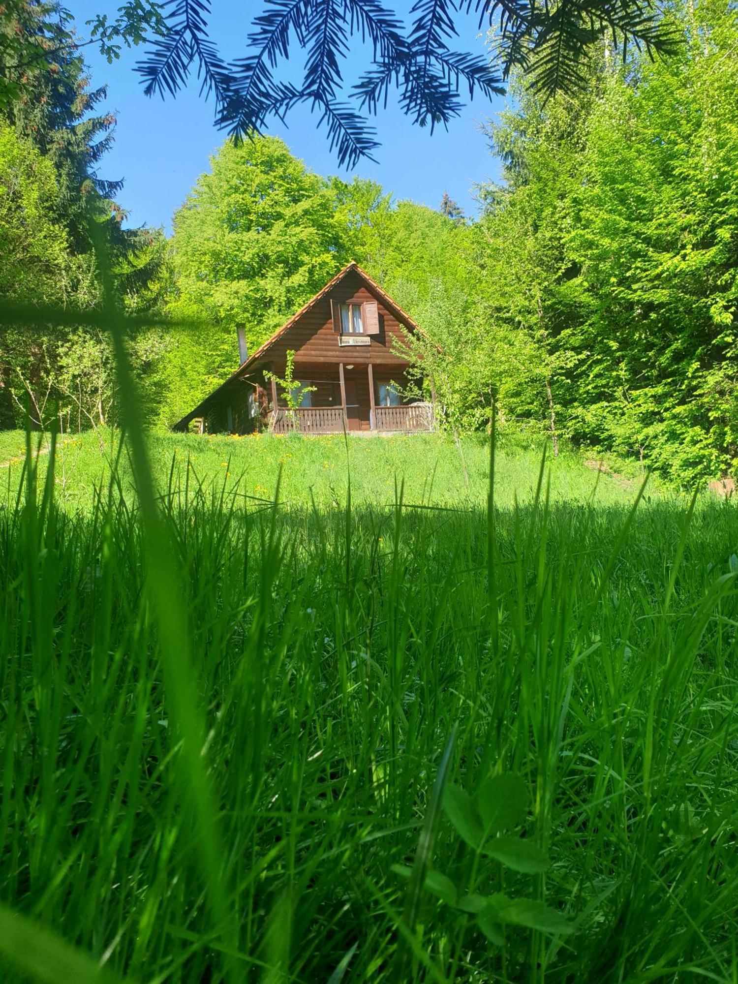 Cabana Lacrimioara Villa Sîmbăta de Sus Exterior foto