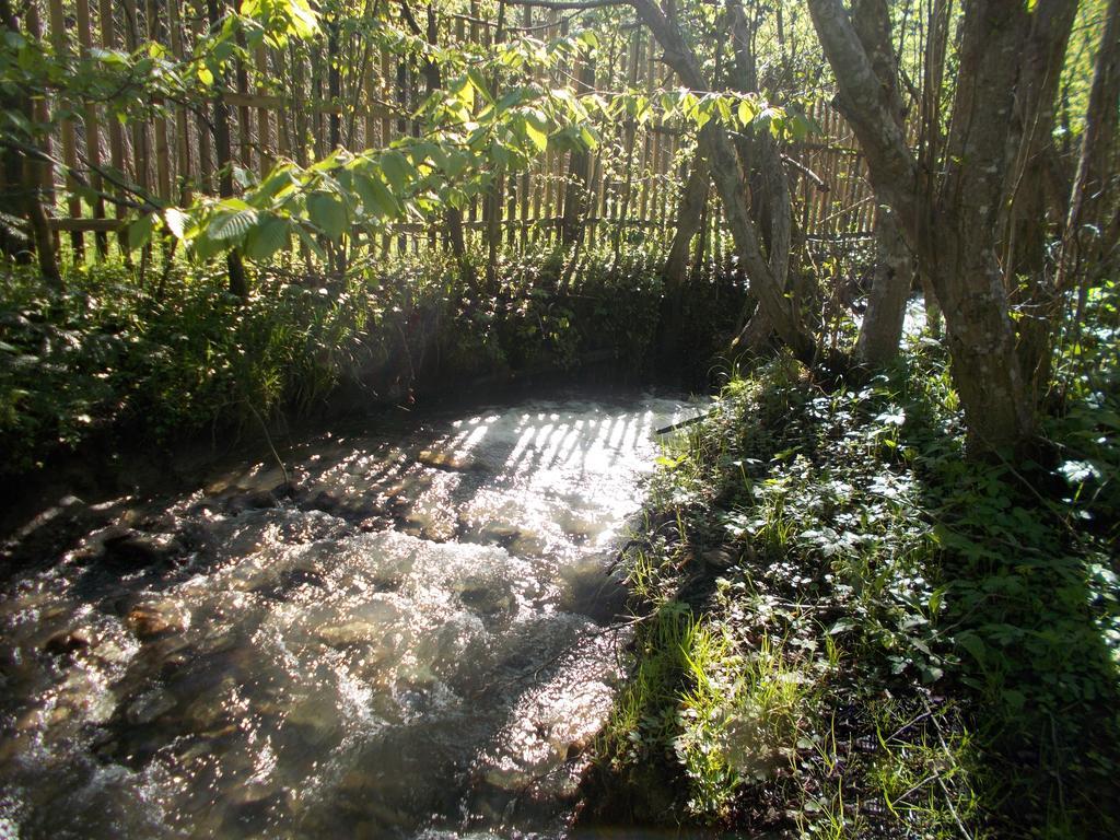 Cabana Lacrimioara Sîmbăta de Sus Exterior foto