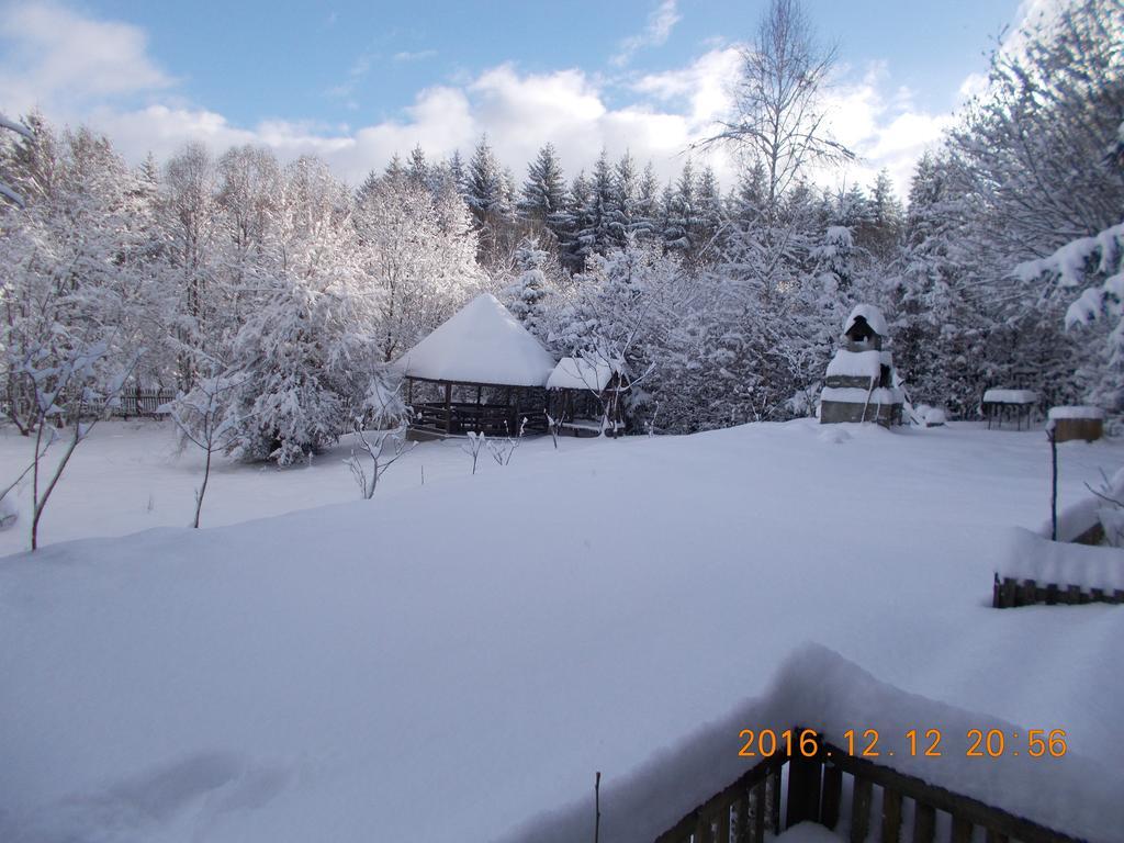 Cabana Lacrimioara Villa Sîmbăta de Sus Exterior foto